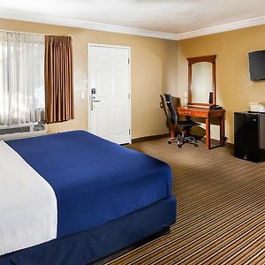 Zimmer mit Kingsize-Bett